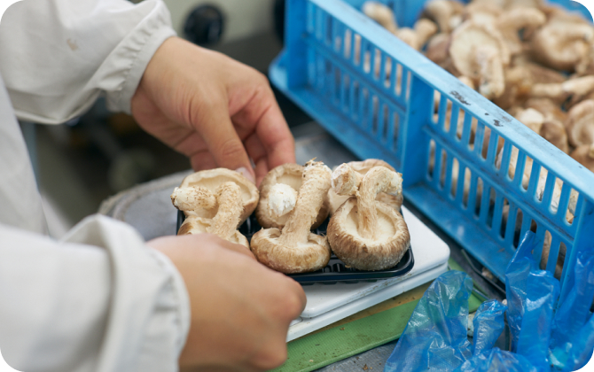 仕事も生活も、相談できる心強いサポートがある