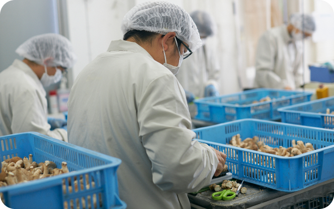 さりげないサポートに支えられながら働ける場所